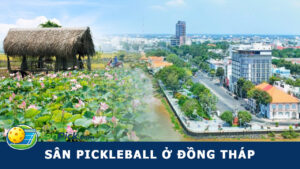 sân pickleball đồng tháp