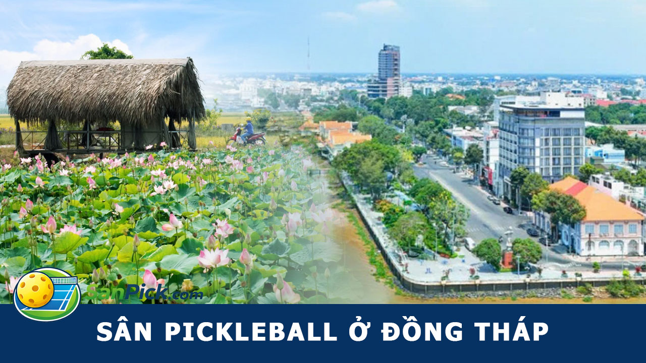 sân pickleball đồng tháp