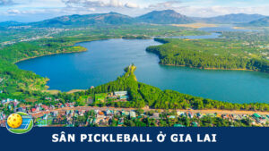 sân pickleball gia lai