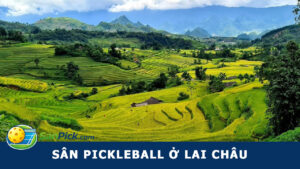 sân pickleball lai châu
